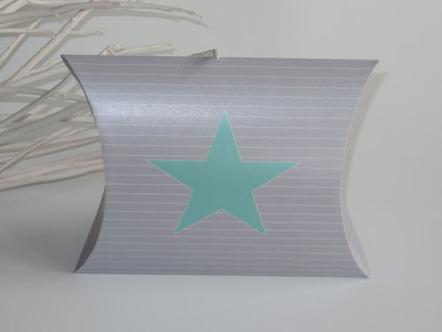 Geschenkverpackung "Stern" mint